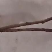 Сука Ебан Косоголовый Блять Тупорылая Залупа Блять Не Лезь Блять
