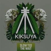 The Wait Extended Mix Slow Ted