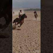 Максат Палван Ак Татыр