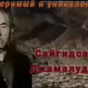 Сайгид Салим Джамалудинов