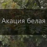 Исцеление Мочевого Пузыря Настрой 196