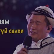 Дашням Нэргүй Салхи