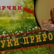 Расслабляющая Музыка 100Мб