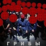 Грибы Копы 10 Часовая Версия