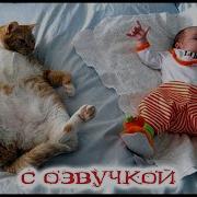 Приколы С Котами С Озвучкой Коты И Дети Смешные Животные Ржака До Слез