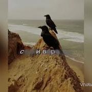Каныш Садыков Песня Из К Ф Широка Река