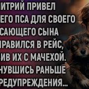 Аудиорассказ Дмитрий Привел Бродячего Пса Для Своего Угасающего Сына И Отправился В Рейс Оставив Их С Мачехой