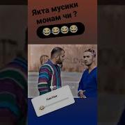 Мусика Якта Мусики Монам Чи
