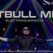 Pitbull Remix 2022