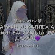 Дал Барт Цхьаъ Бойл Шу