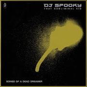 Dj Spooky Galactic Funk