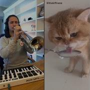 Num Num Cat