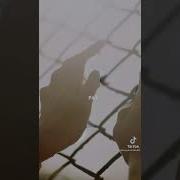 Найди Меня Ищи Ищи Тик Ток