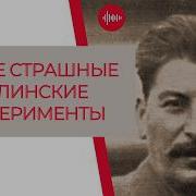 Сталинская Коллективизация Что Пошло Не Так