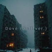 Dove Doll Ver Instrumental