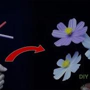 Cara Membuat Bunga Dari Sedotan Yang Simple Cosmos Bipinnatus Straws Flower