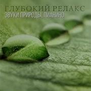 Нежная Мелодия Флейта