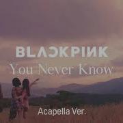 Blackpink You Never Know Acapella