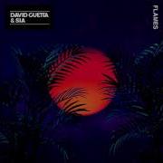 David Guetta Fiames Instrumentai