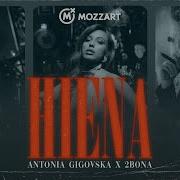 Antonia Gigovska X 2Bona Hiena