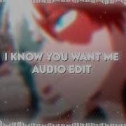 I Know You Want Me Pitbull Audio Edit