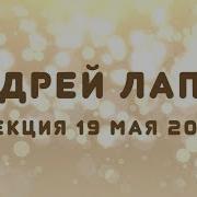 Андрей Лапин 2019