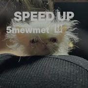 5Mewmet Ш Speed Up