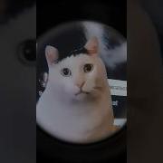 Популярные Длинные