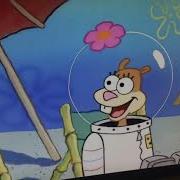 Sandy Cheeks Laughing