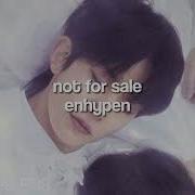 Not For Sale Enhypen Speed Up