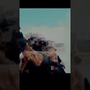 Трап Пакистана