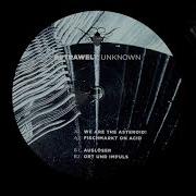 Extrawelt We Are The Asteroid