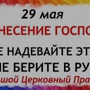 В Кругу Друзей