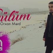 Orxan Merd Gulum