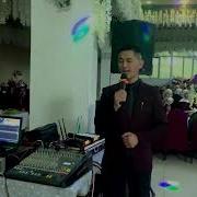 Али Вали Сулуулар Кайдан Жаралат
