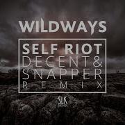 Self Riot Decent Snapper Remix Despersion