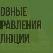 Основные Направления Эволюции Видеоурок По Биологии 9 Класс