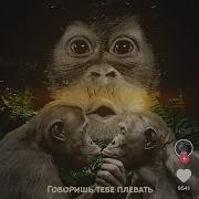 Говоришь Тебе Плевать Slow Lx24