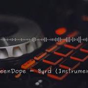 Hdbeendope Byrd Instrumental Version