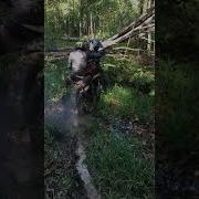 Пиздец Мы Попали В Ловушку