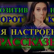 Смешные Рассказы Истории