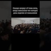 Мои Соседи Сверху По Ночам