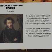 Стихотворение Пушкина Птичка