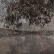 Наклонили Низко Ивы Над Водой
