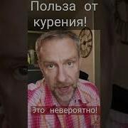 Мифы О Спорте Кто Не Курит И Не Пьет Тот Здоровеньким Помрёт