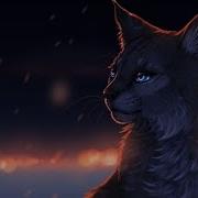 Коты Воители Bludfire
