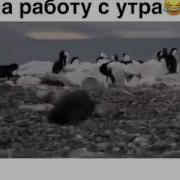 Как Я Иду На Работу С Утра