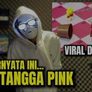 Video Ular Tangga Pink