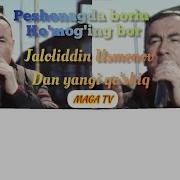 Jaloliddin Usmonov Peshonangda Borin Ko Rmog Ing Bor Yangi Qo Shiq To
