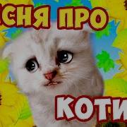 Песни Мой Любимый Котик